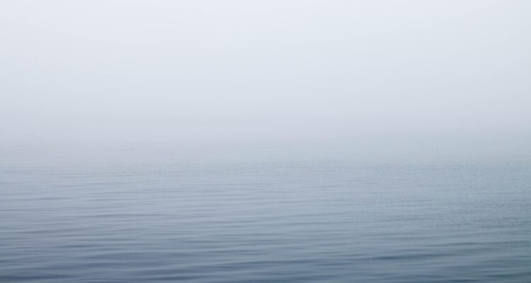 foggy, calm lake water, sets the mysterious tone